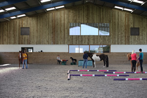 horse school materials